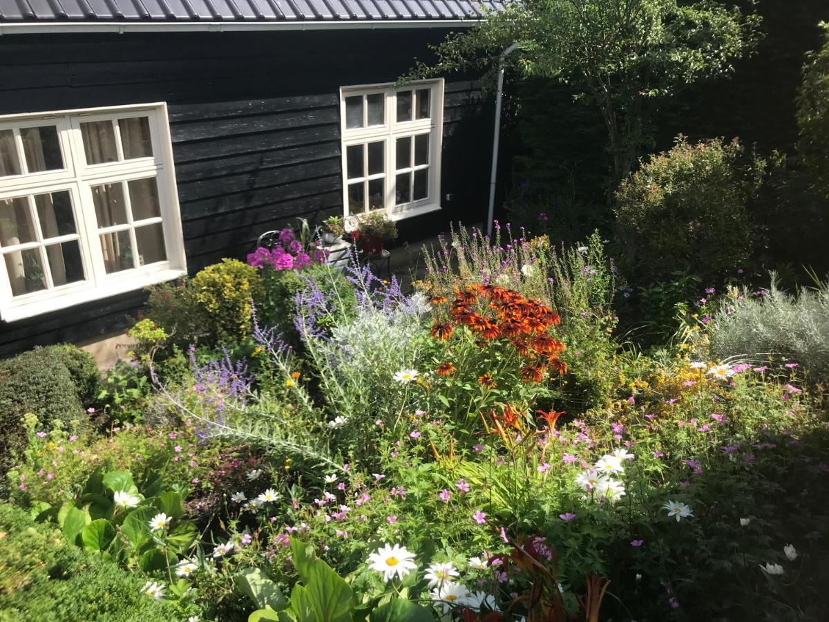 T Huuske Tuinappartement Met Fantastisch Uitzicht, Nabij Zee Zonnemaire Dış mekan fotoğraf