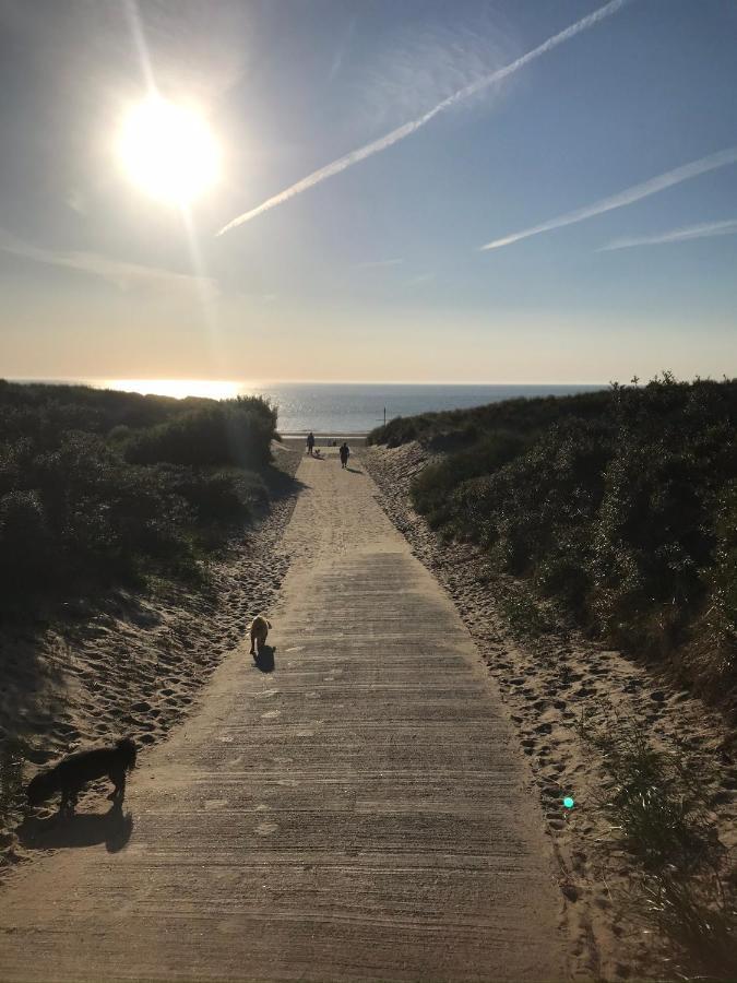 T Huuske Tuinappartement Met Fantastisch Uitzicht, Nabij Zee Zonnemaire Dış mekan fotoğraf