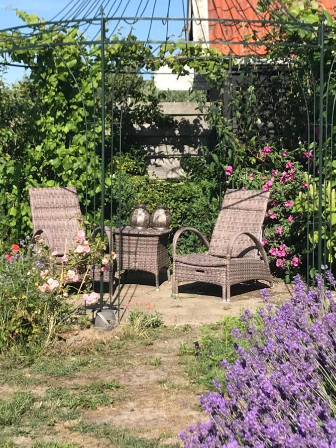 T Huuske Tuinappartement Met Fantastisch Uitzicht, Nabij Zee Zonnemaire Dış mekan fotoğraf