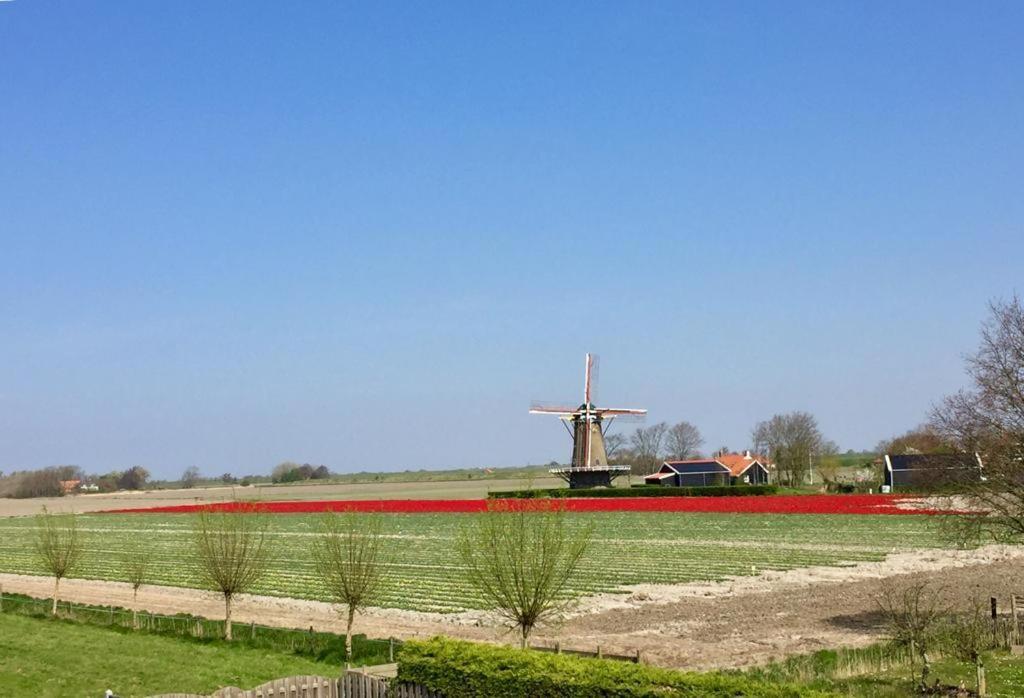 T Huuske Tuinappartement Met Fantastisch Uitzicht, Nabij Zee Zonnemaire Dış mekan fotoğraf