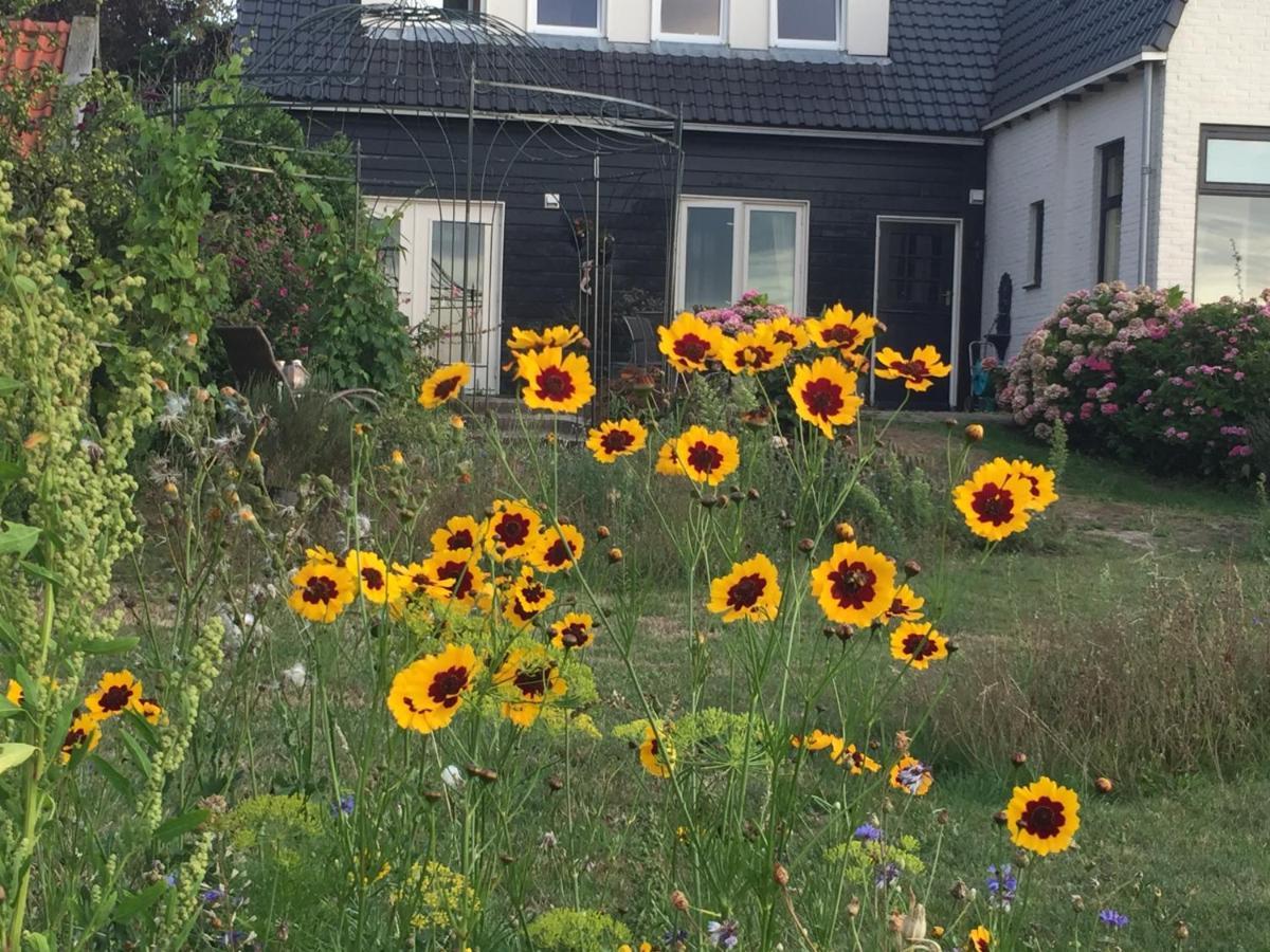 T Huuske Tuinappartement Met Fantastisch Uitzicht, Nabij Zee Zonnemaire Dış mekan fotoğraf