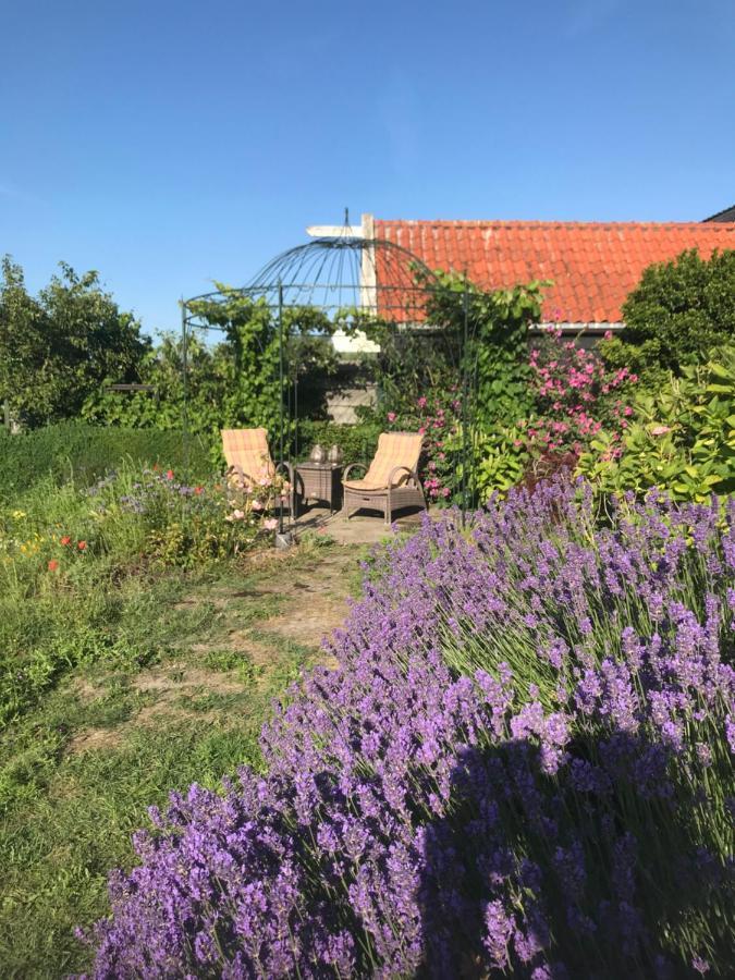 T Huuske Tuinappartement Met Fantastisch Uitzicht, Nabij Zee Zonnemaire Dış mekan fotoğraf